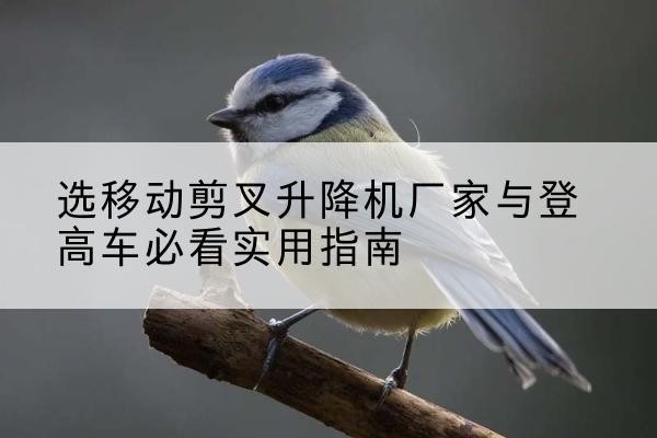 精河电动升降机厂家-选移动剪叉升降机厂家与登高车必看实用指南