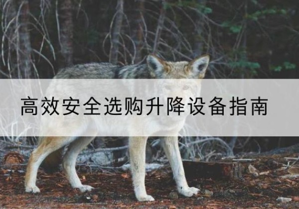 精河升降货梯厂家推荐-*安全选购升降设备指南